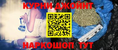 сатива Кандалакша