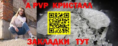сатива Кандалакша