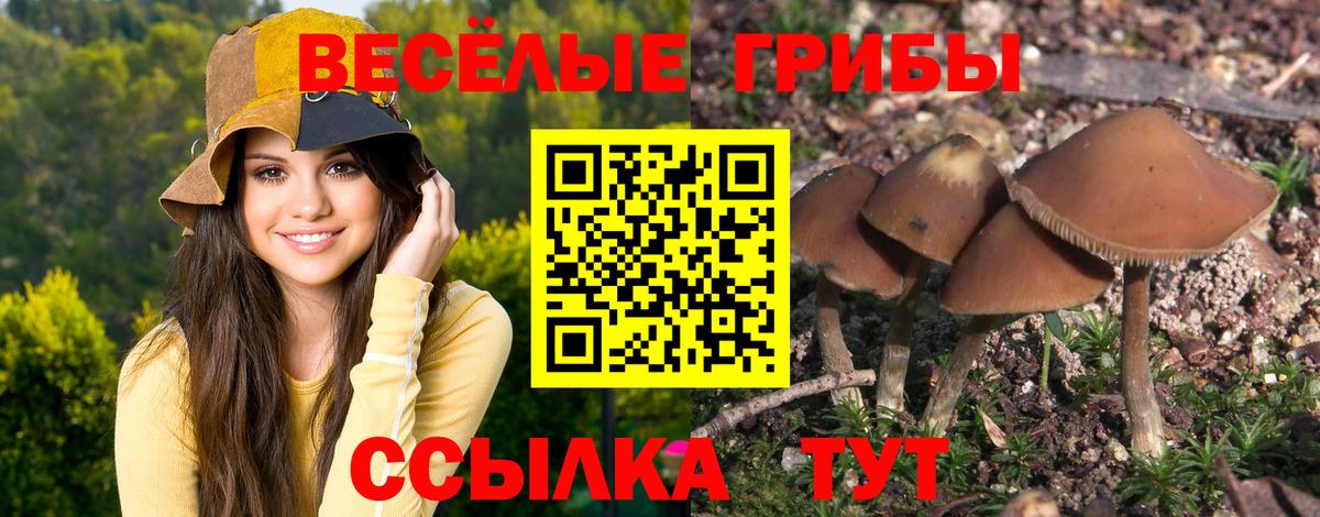 Галлюциногенные грибы GOLDEN TEACHER  Вход с VPN  Магадан 