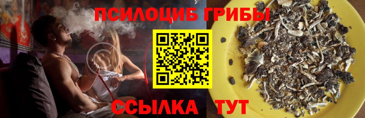 Псилоцибиновые грибы ЛСД Магадан