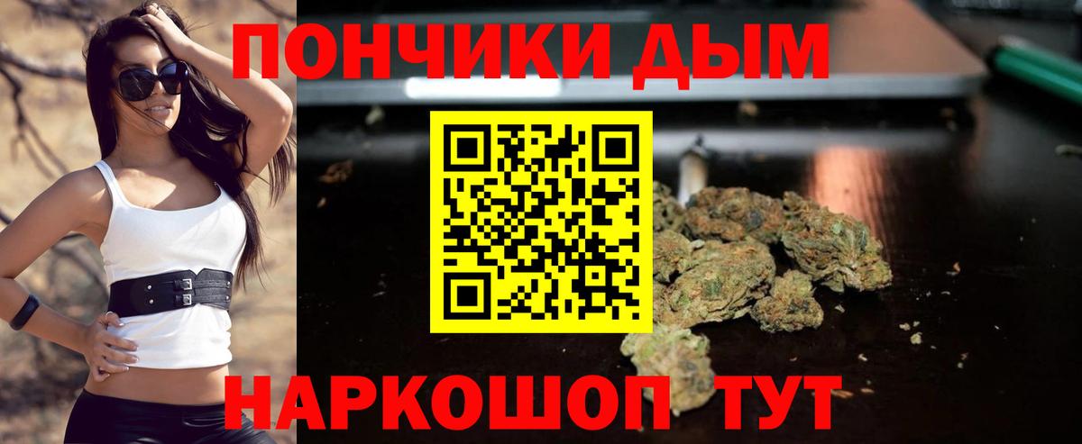 МАРИХУАНА SATIVA & INDICA  Шишки марихуана план  Магадан  Вход с VPN  Конопля сатива 